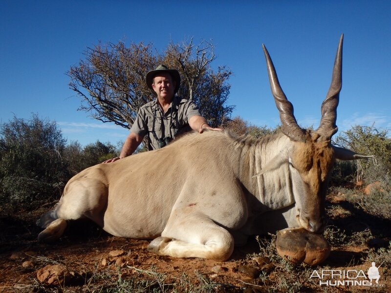 Hunting Eland South Africa