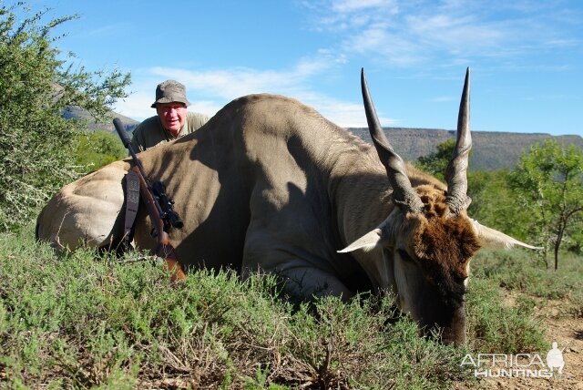 Hunting Eland South Africa