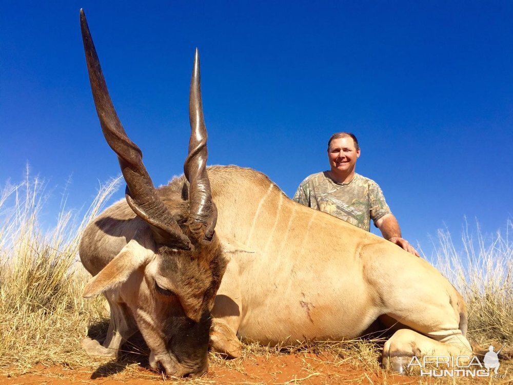 Hunting Eland South Africa