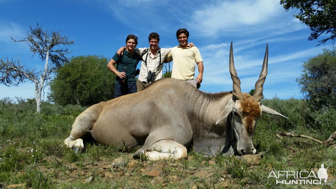 Hunting Eland South Africa