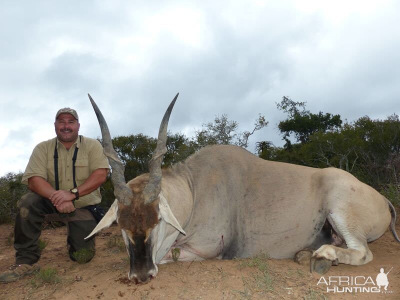 Hunting Eland South Africa