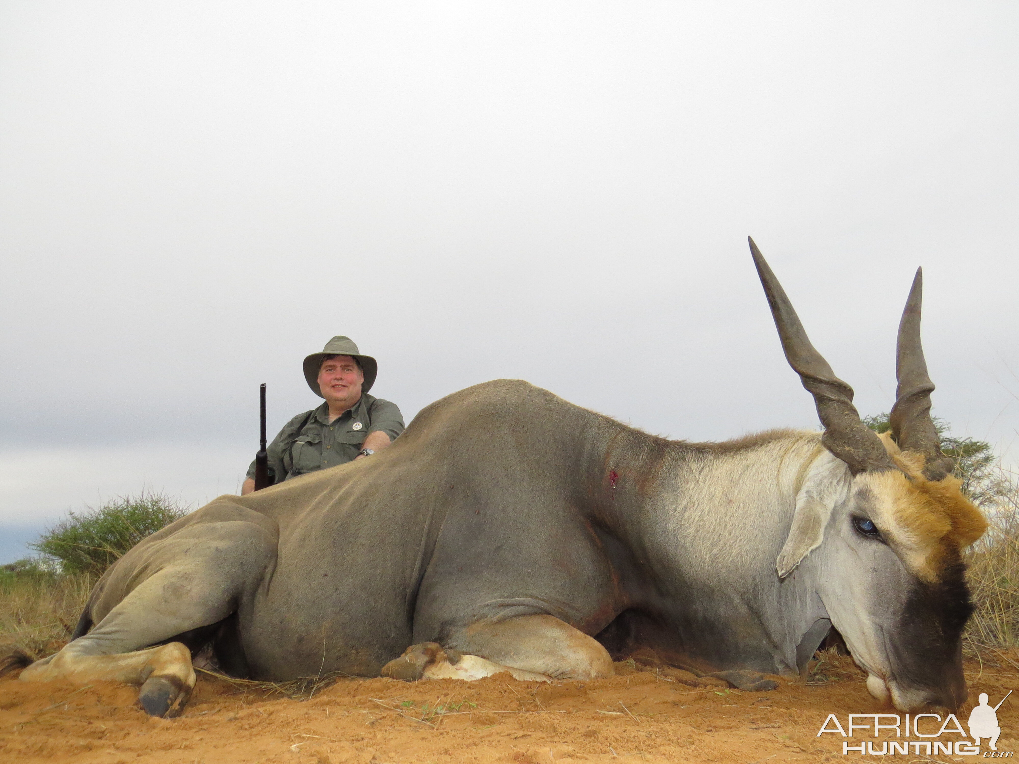 Hunting Eland South Africa