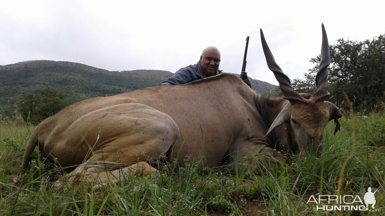 Hunting Eland South Africa