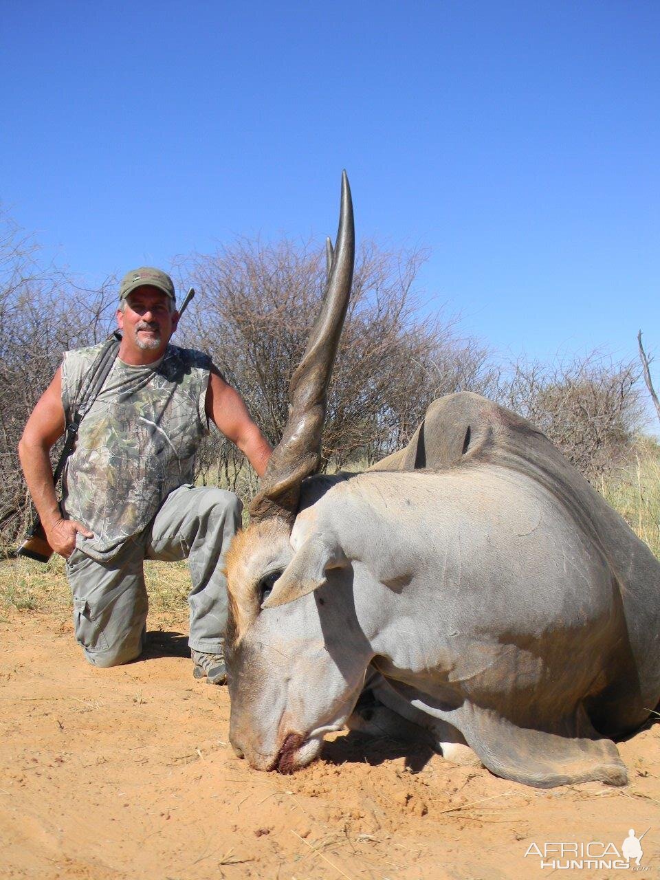 Hunting Eland South Africa