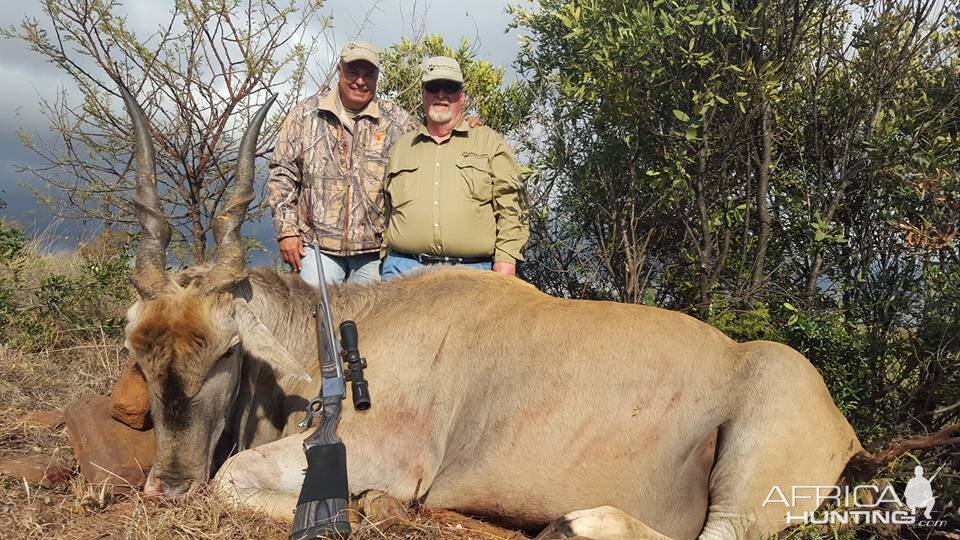 Hunting Eland South Africa