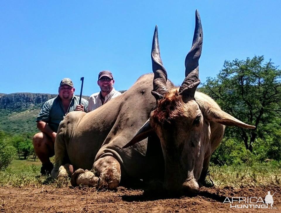 Hunting Eland South Africa