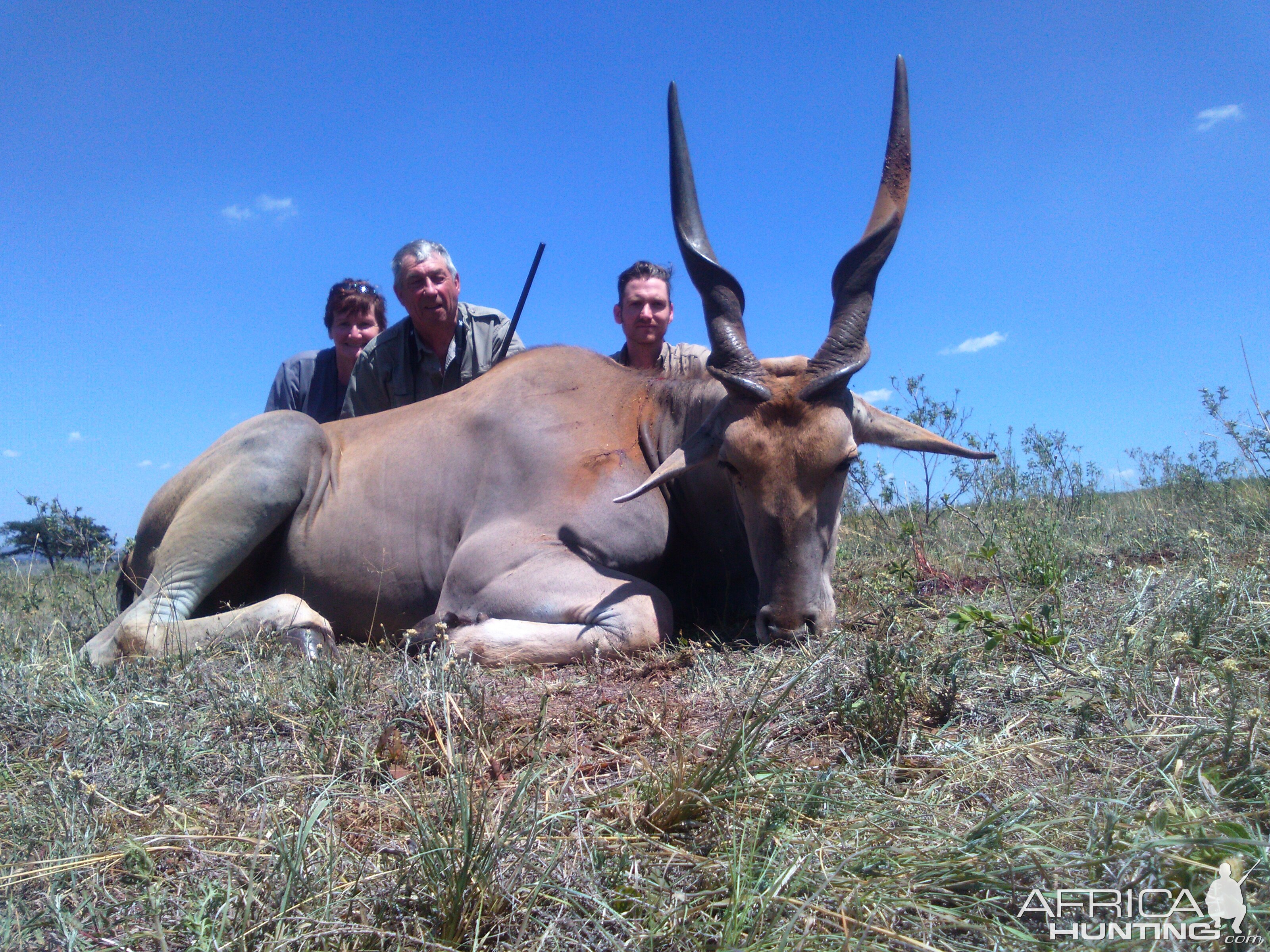 Hunting Eland South Africa