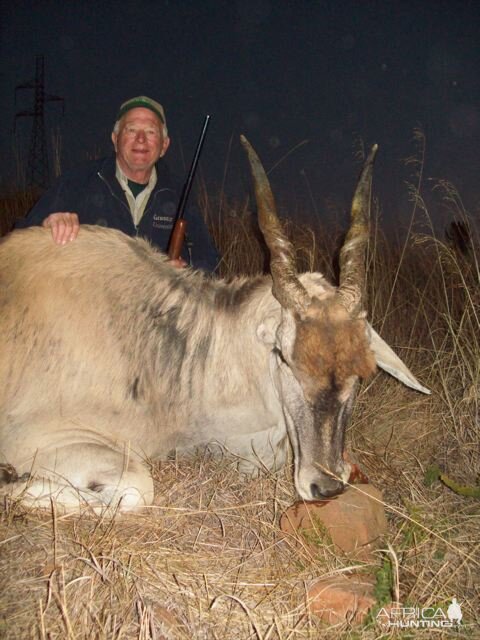 Hunting Eland South Africa