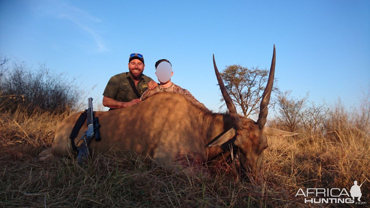 Hunting Eland South Africa