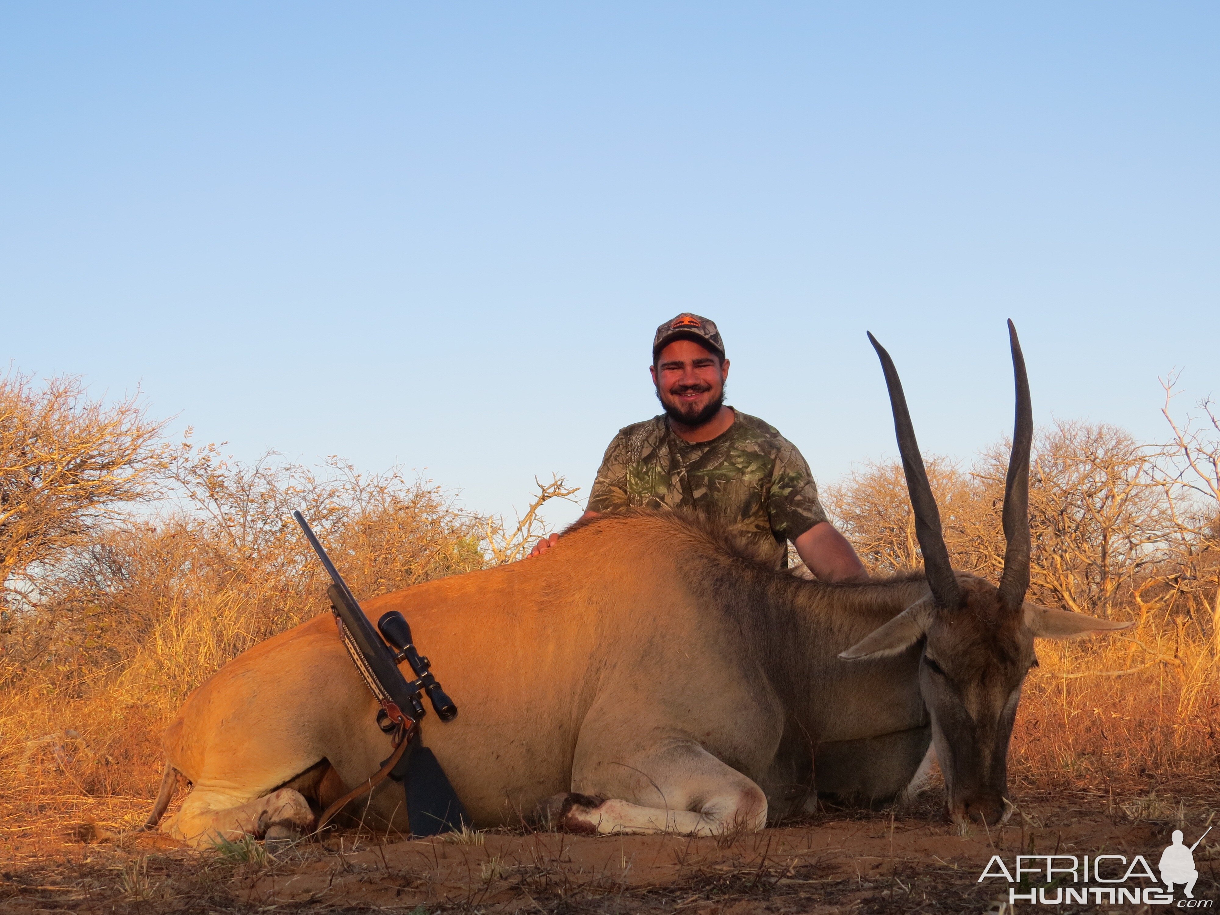 Hunting Eland South Africa