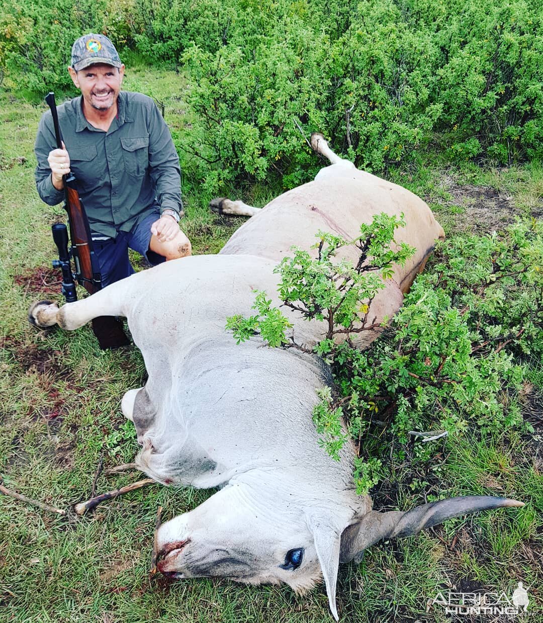 Hunting Eland South Africa