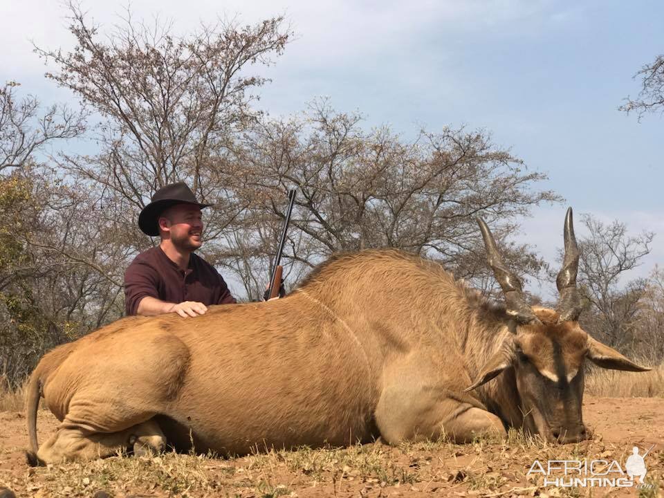 Hunting Eland South Africa