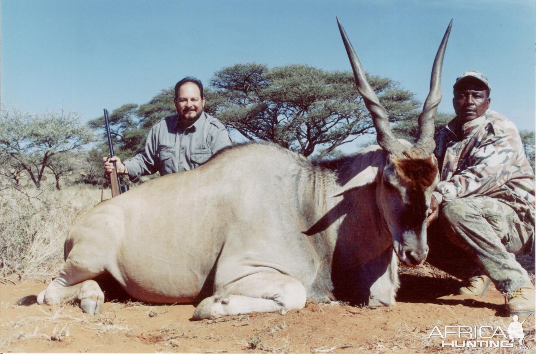 Hunting Eland with Wintershoek Johnny Vivier Safaris in SA