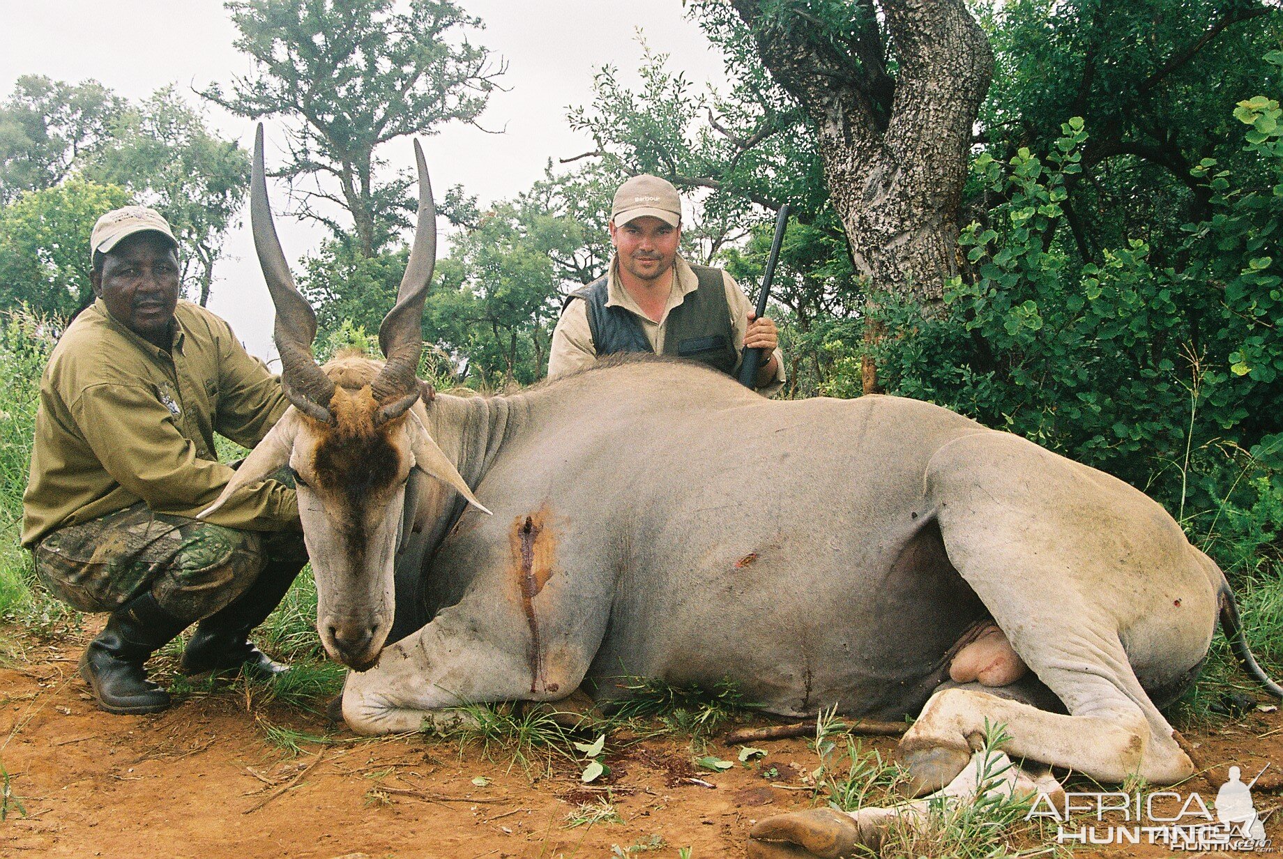 Hunting Eland with Wintershoek Johnny Vivier Safaris in SA