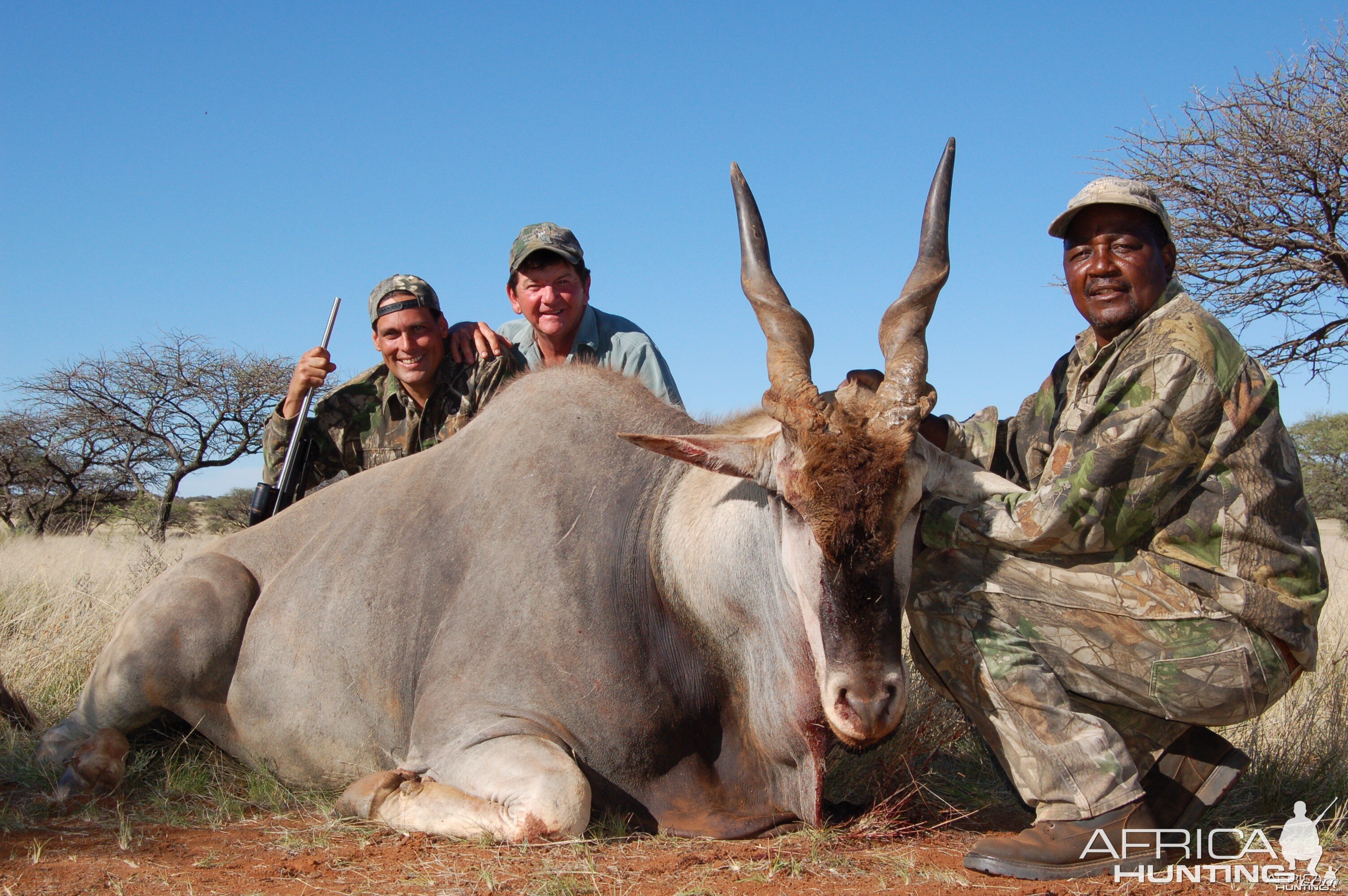 Hunting Eland with Wintershoek Johnny Vivier Safaris in SA