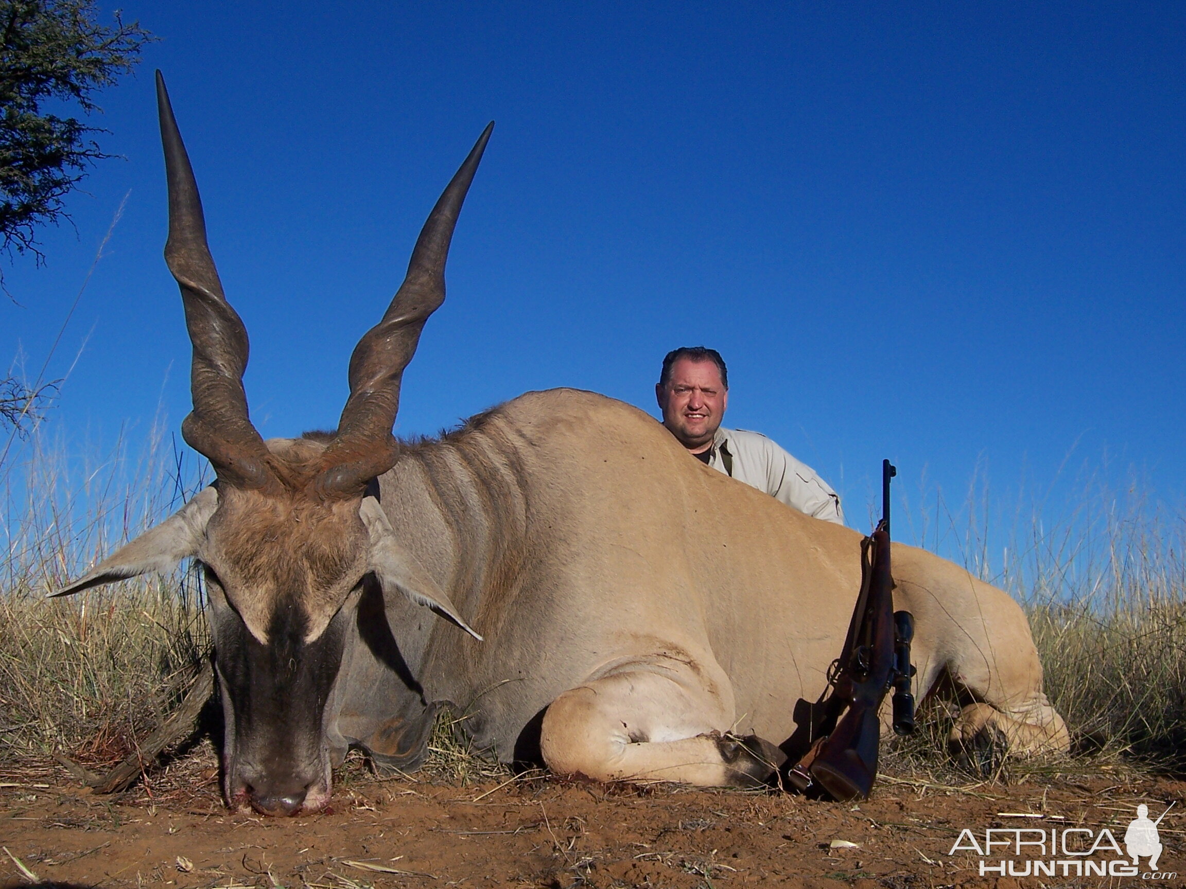 Hunting Eland with Wintershoek Johnny Vivier Safaris in SA