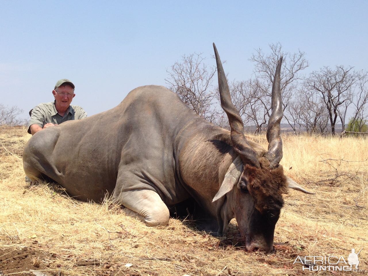 Hunting Eland Zimbabwe