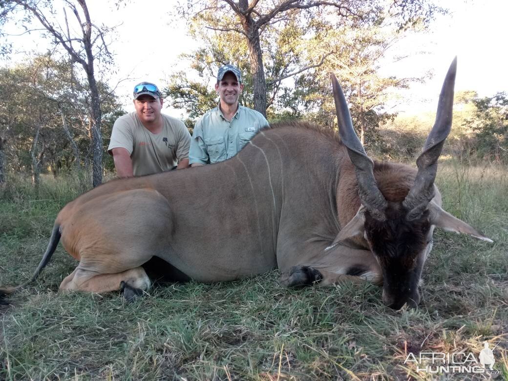 Hunting Eland Zimbabwe