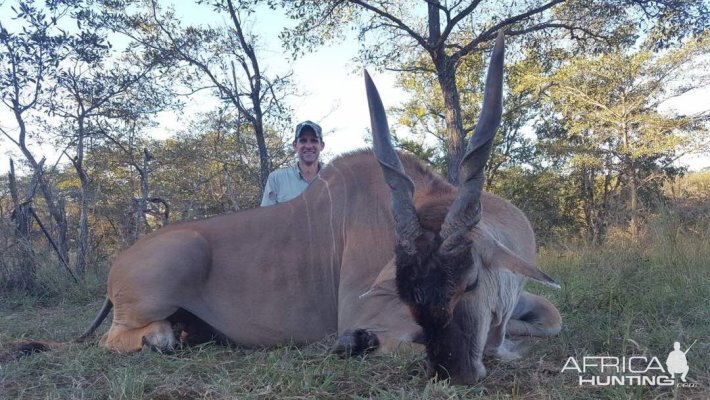 Hunting Eland Zimbabwe