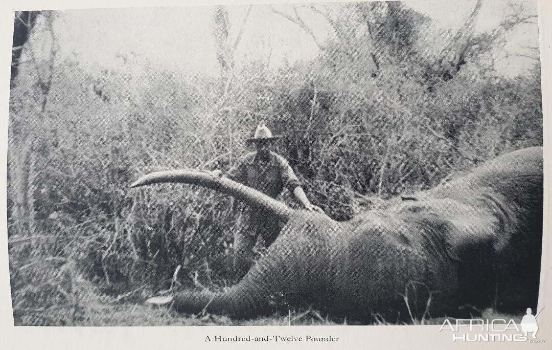 Hunting Elephant from the book African Hunter by Bror von Blixen-Finecke