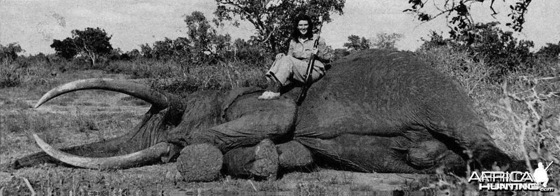 Hunting Elephant in East Africa