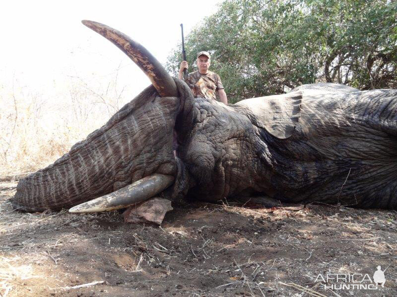 Hunting Elephant in Mozambique