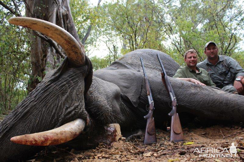 Hunting Elephant in Mozambique