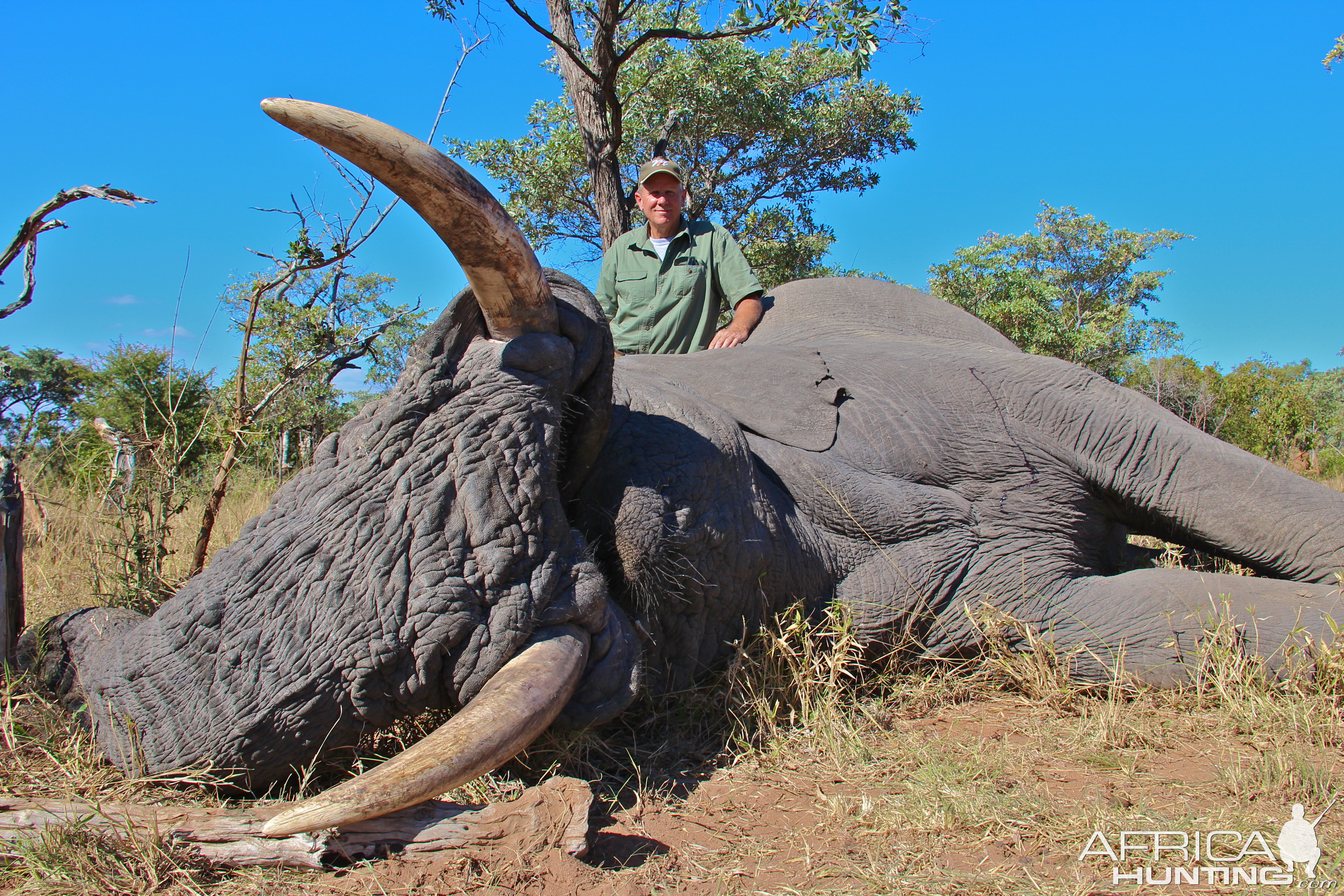 Hunting Elephant in Mpumalanga South Africa