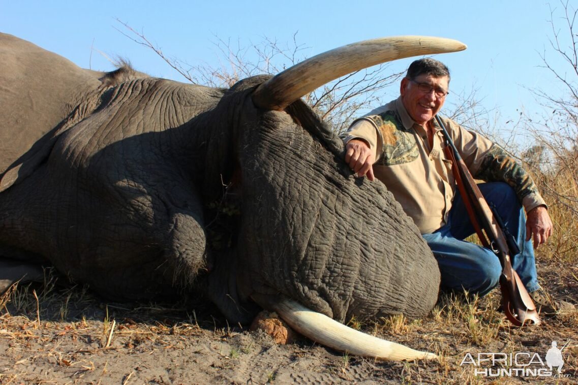 Hunting Elephant in Namibia