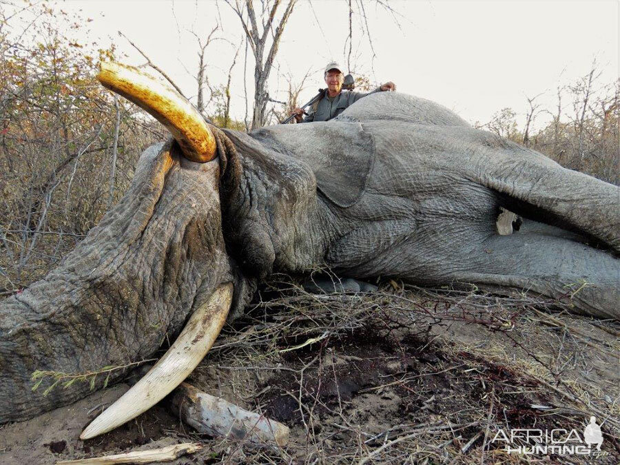 Hunting Elephant in Namibia