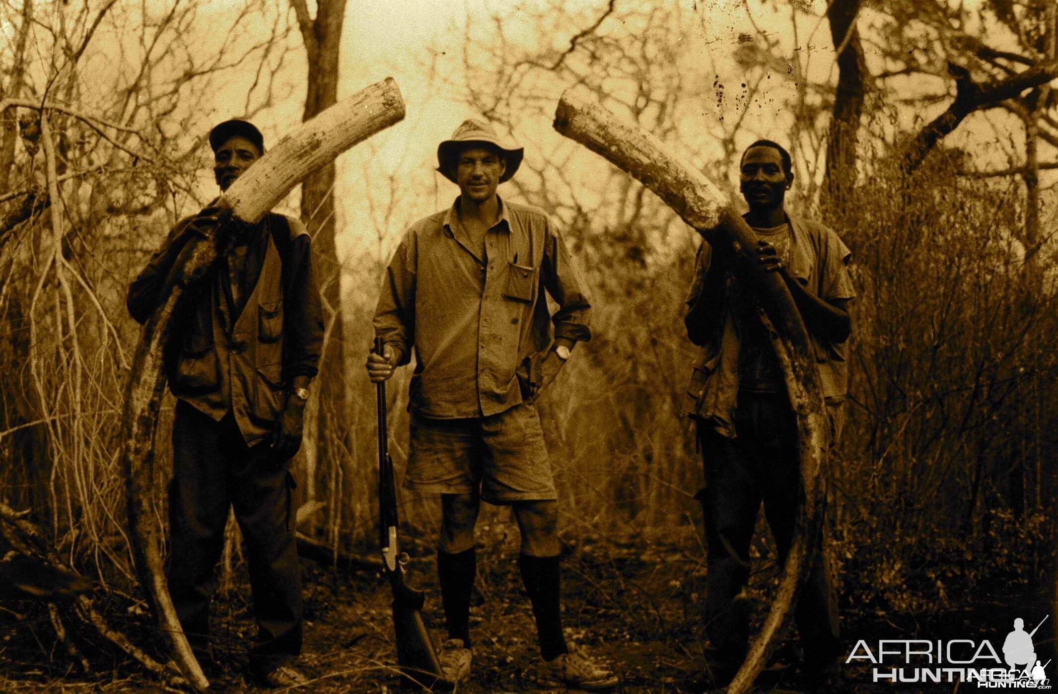 Hunting Elephant in Tanzania, 244 cm