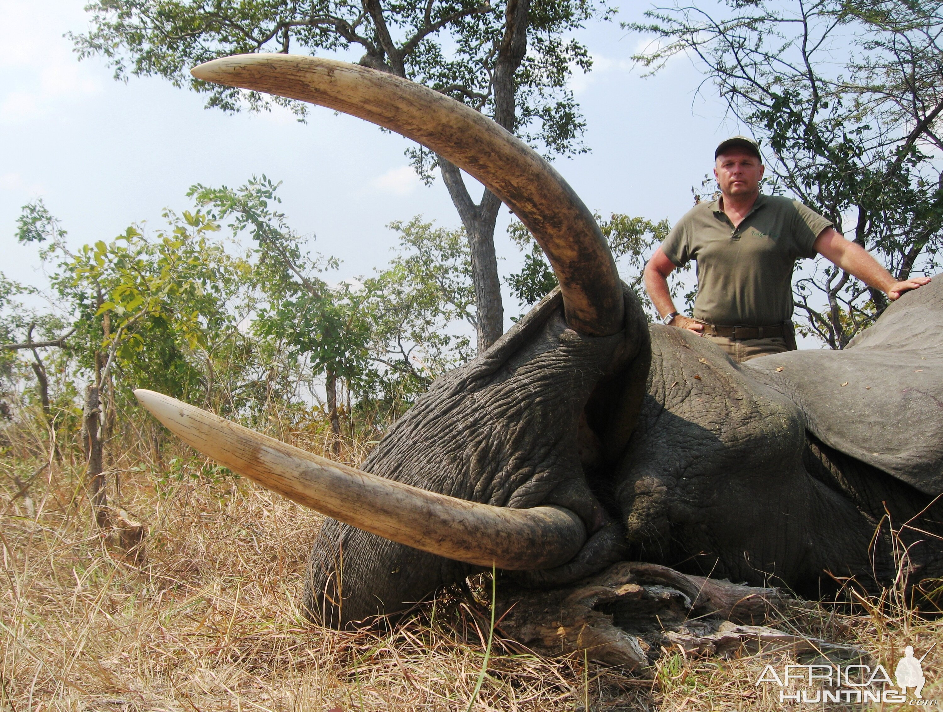 Hunting Elephant in Tanzania