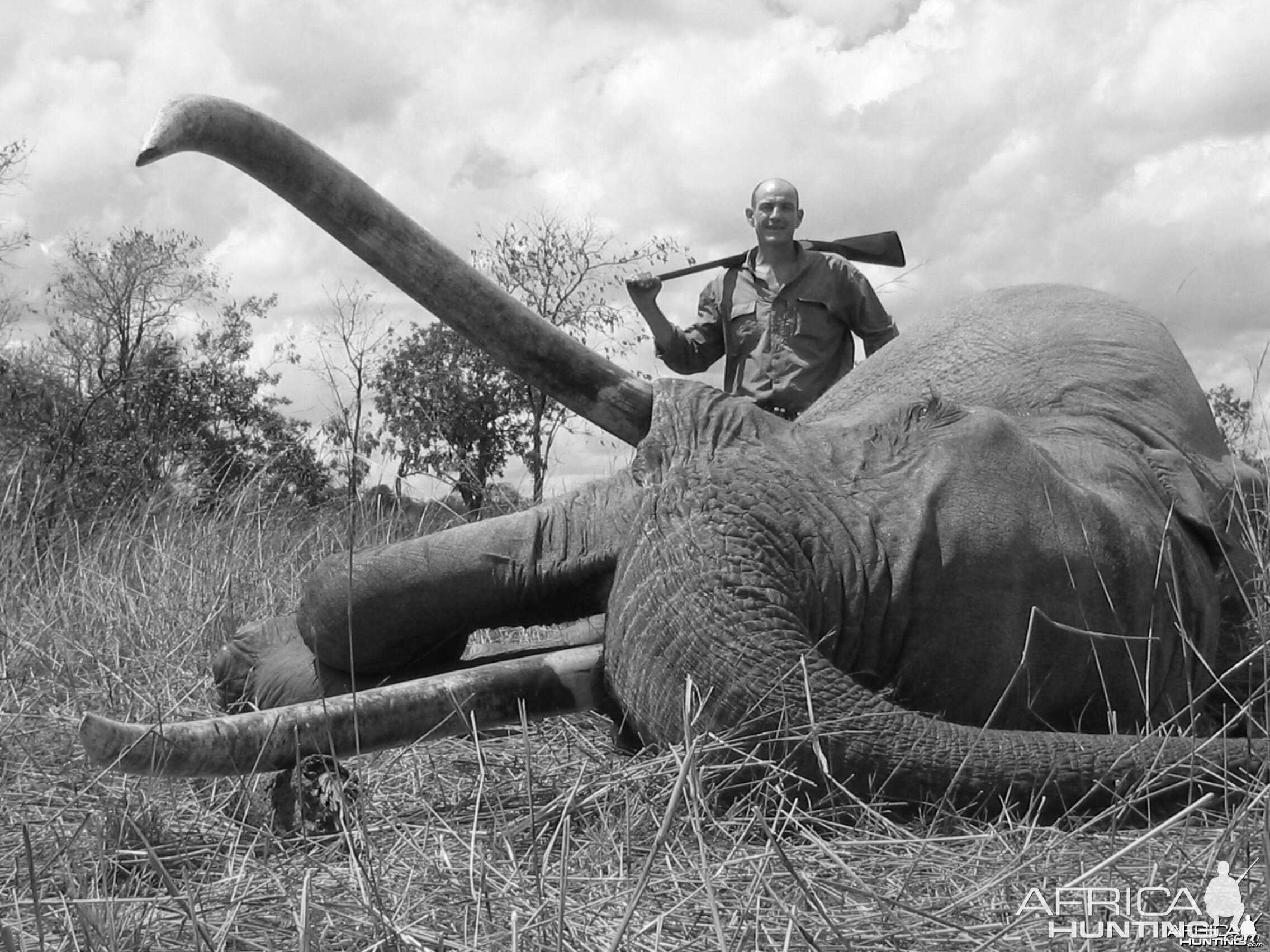 Hunting Elephant in Tanzania