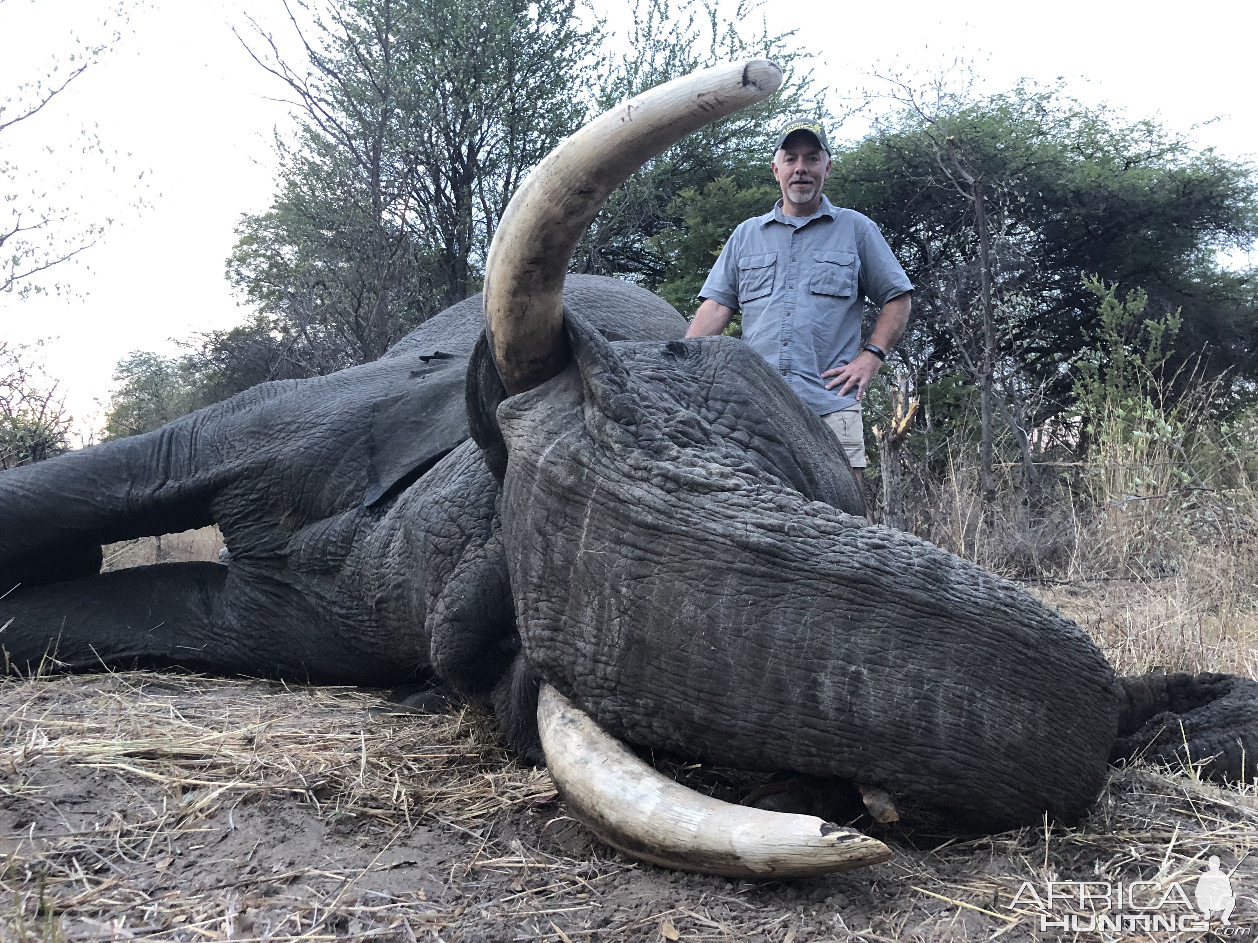 Hunting Elephant in Zimbabwe