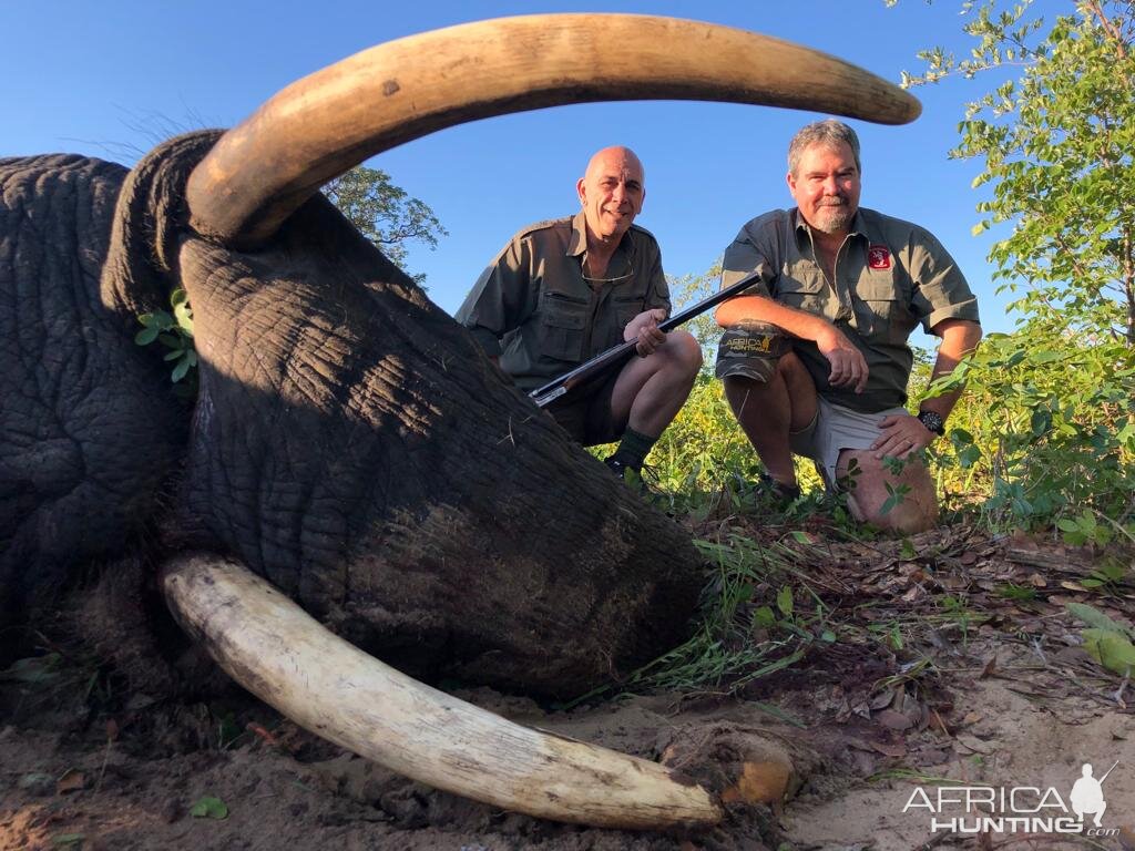 Hunting Elephant in Zimbabwe