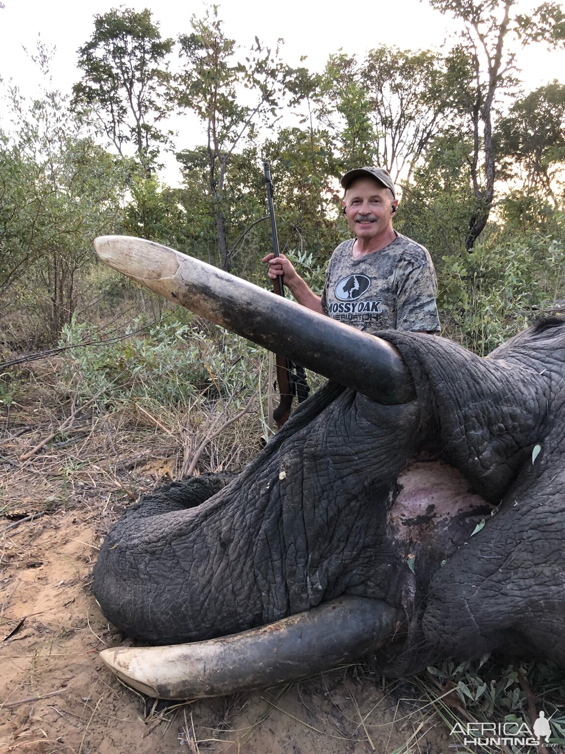 Hunting Elephant in Zimbabwe