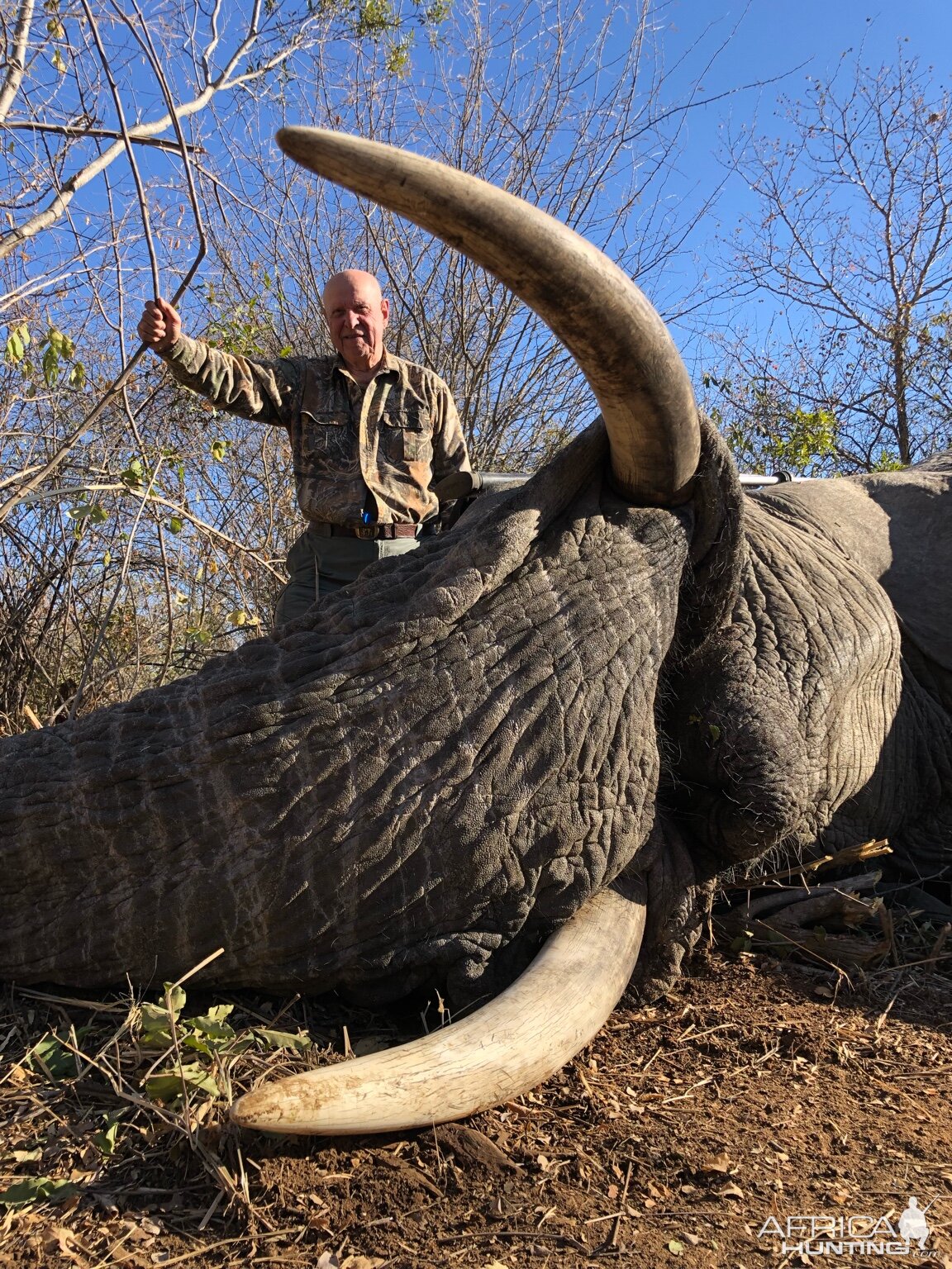 Hunting Elephant in Zimbabwe