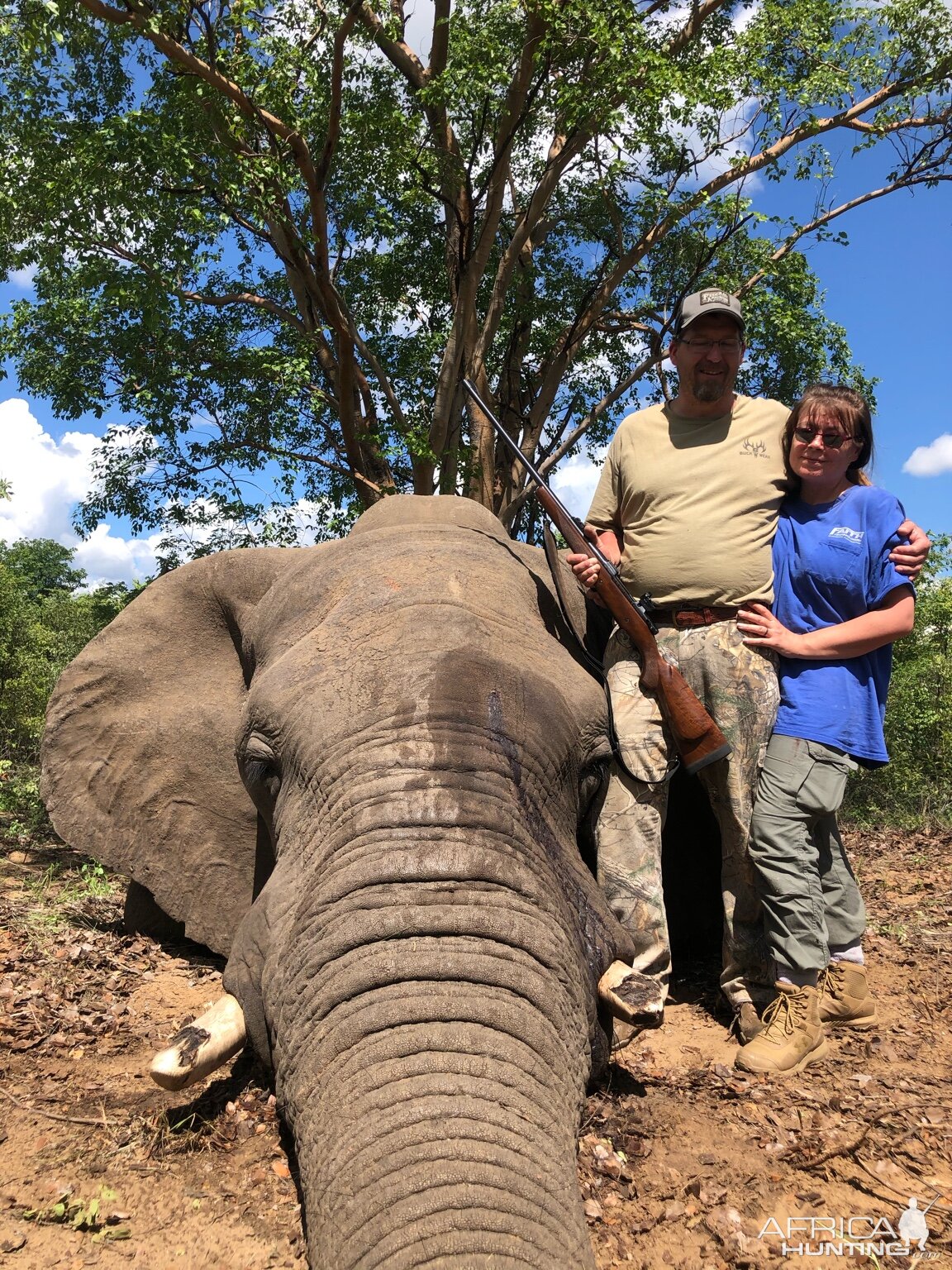 Hunting Elephant in Zimbabwe