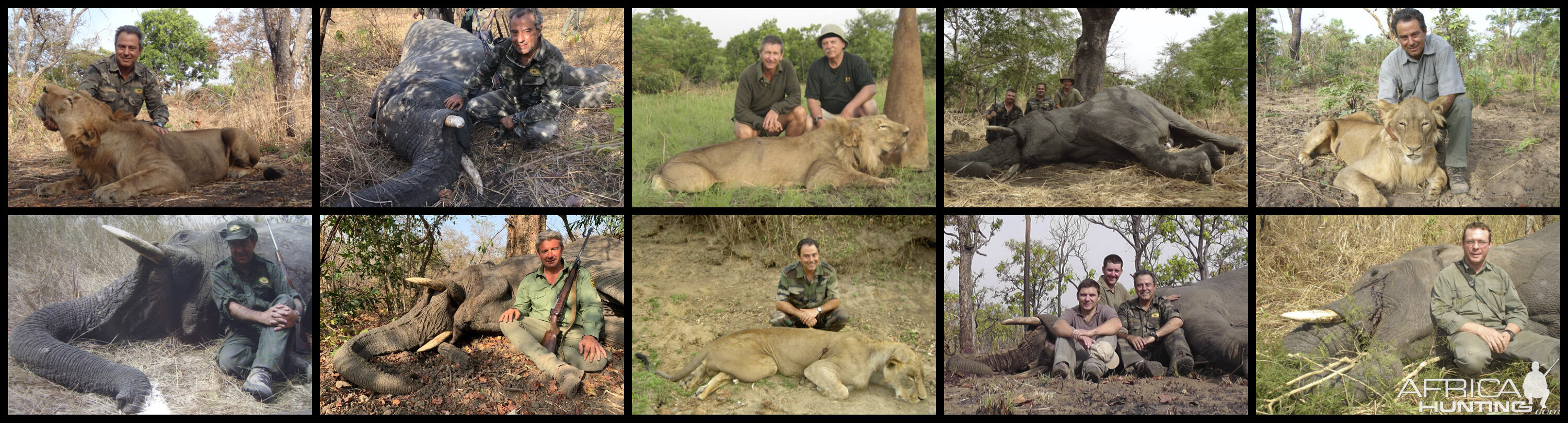 Hunting Elephant & Lion in Cameroon