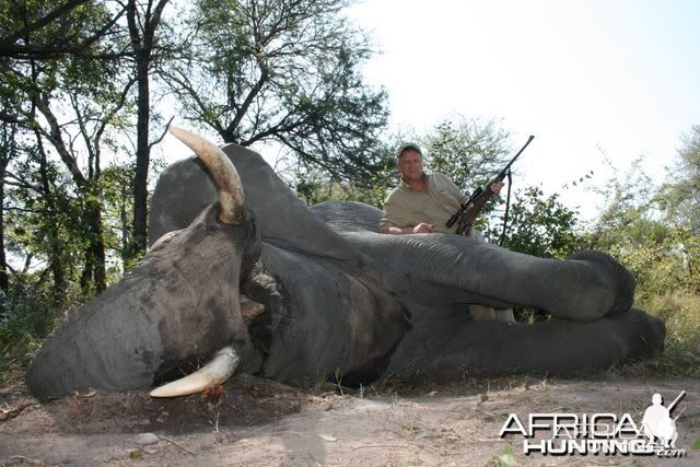 Hunting Elephant Namibia