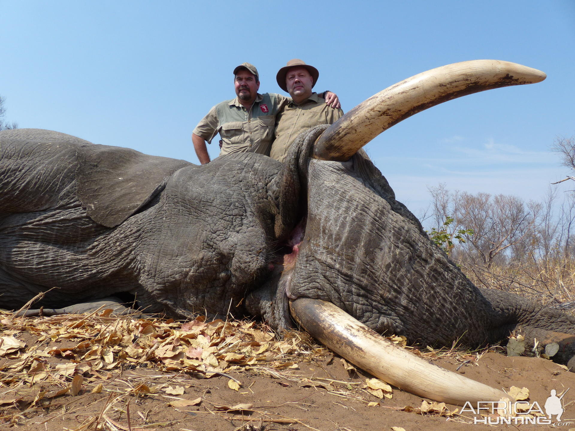 Hunting Elephant South Africa