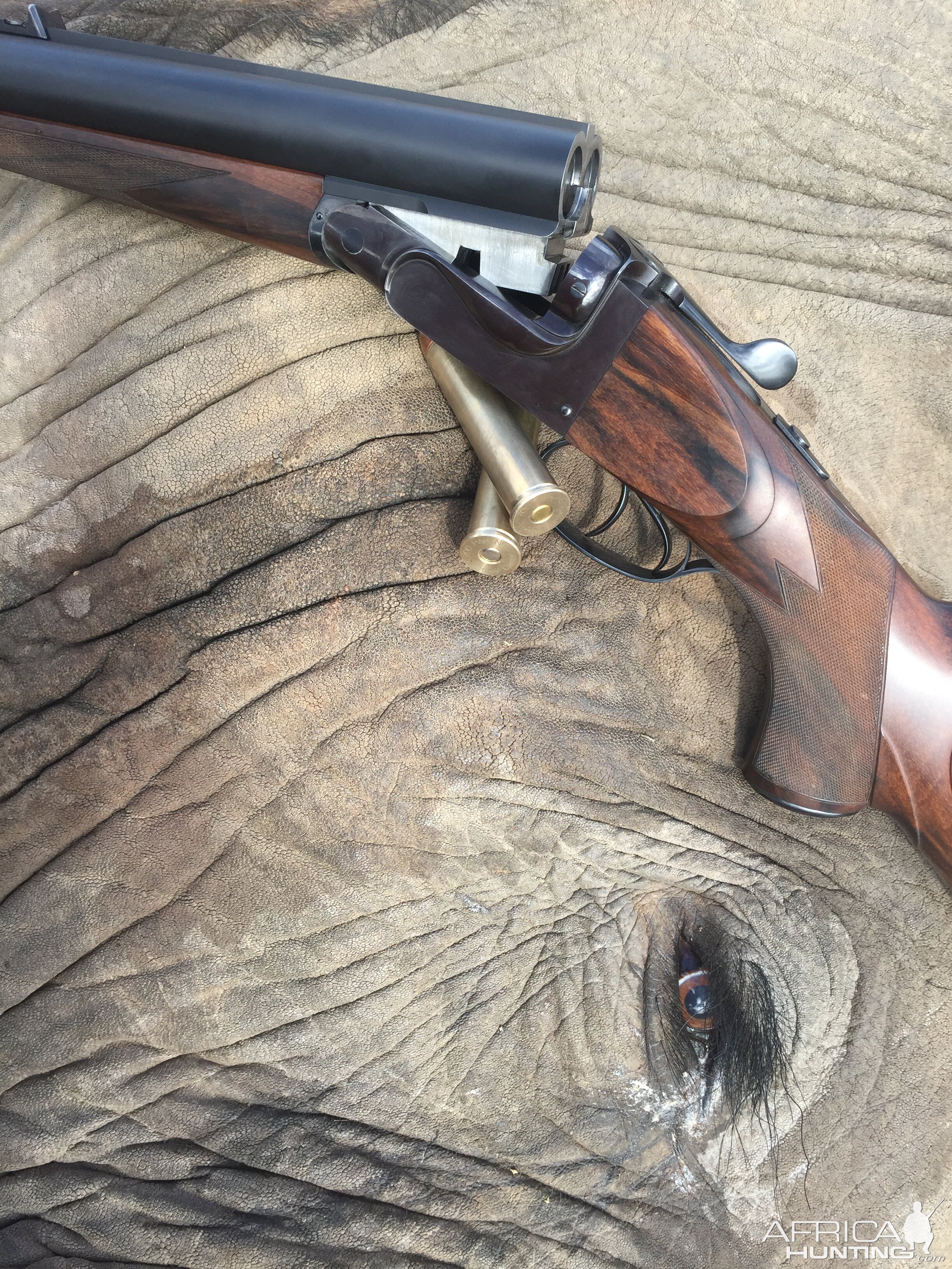 Hunting Elephant With Verney-Carron 700 Nitro Express Double Rifle