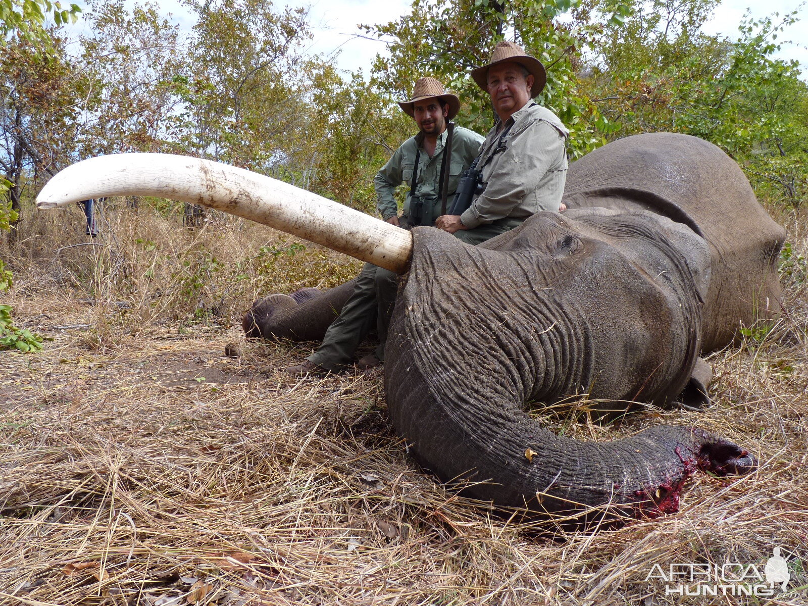 Hunting Elephant with Wintershoek Johnny Vivier Safaris in SA