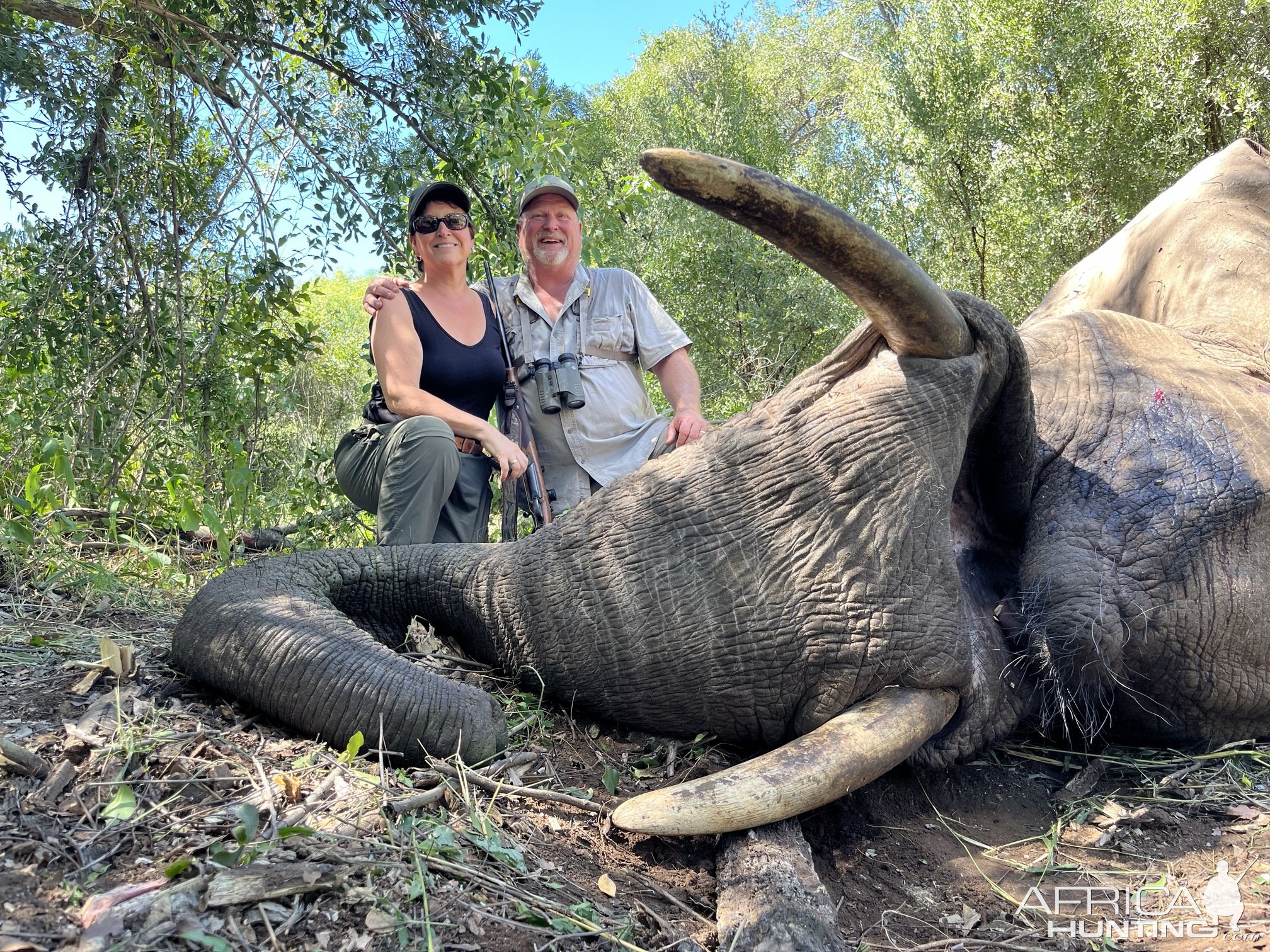 Hunting Elephant Zimbabwe