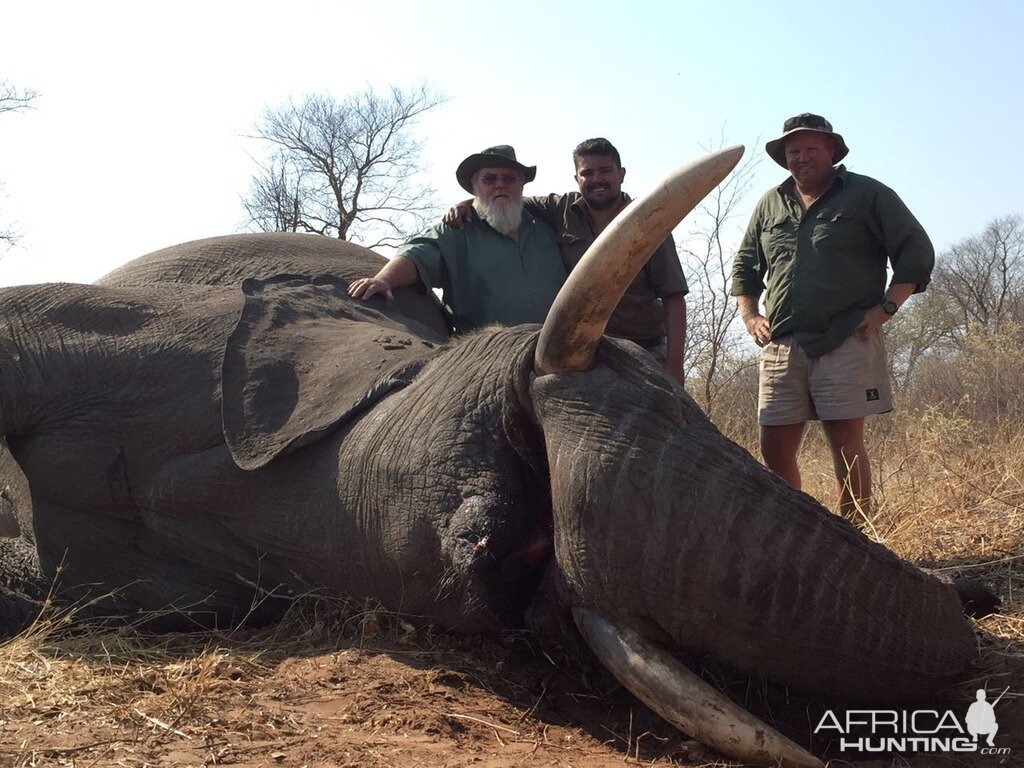 Hunting Elephant Zimbabwe