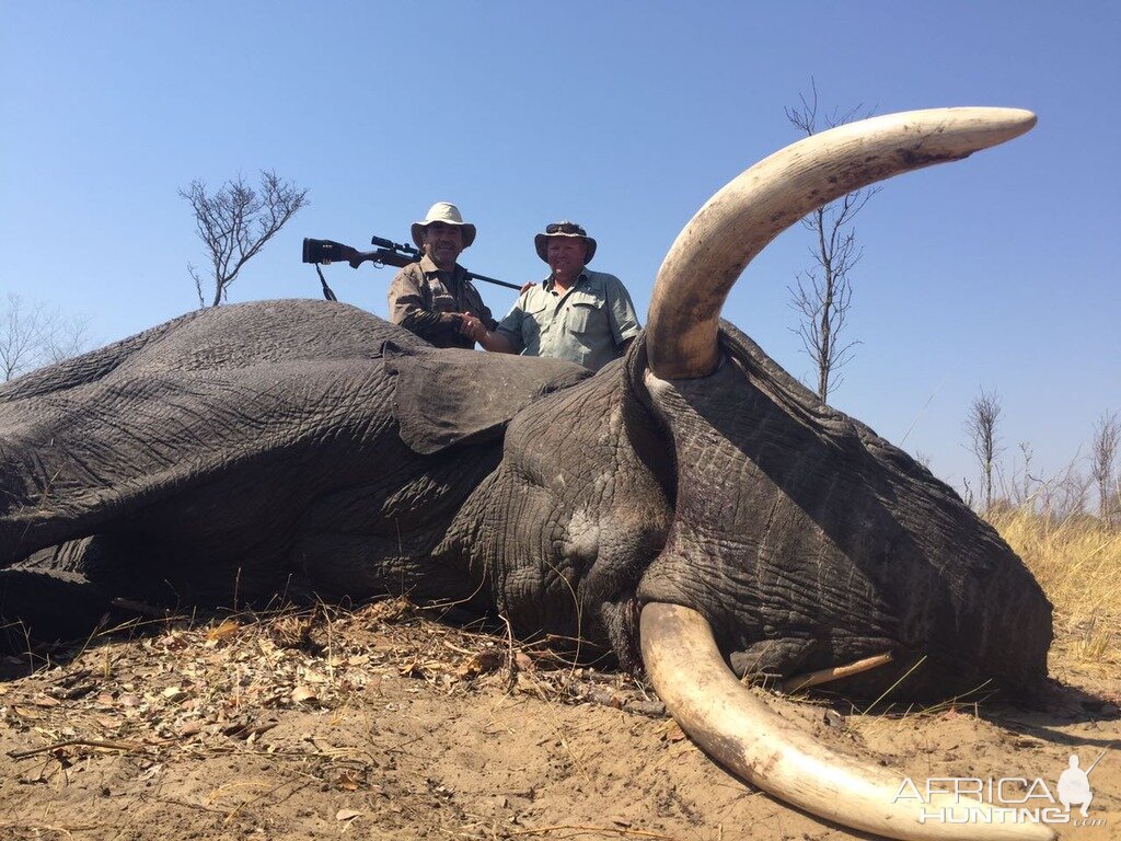 Hunting Elephant Zimbabwe