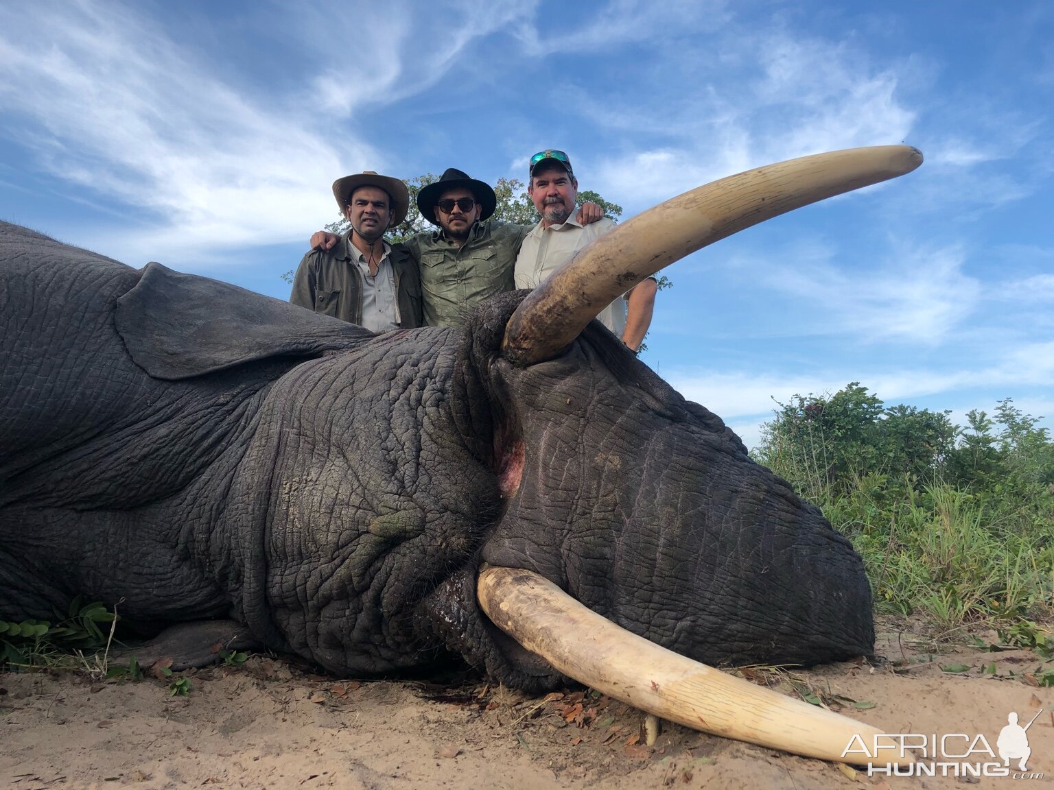 Hunting Elephant Zimbabwe