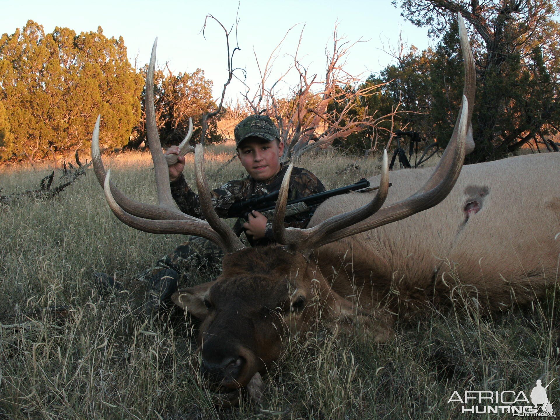 Hunting Elk New Mexico