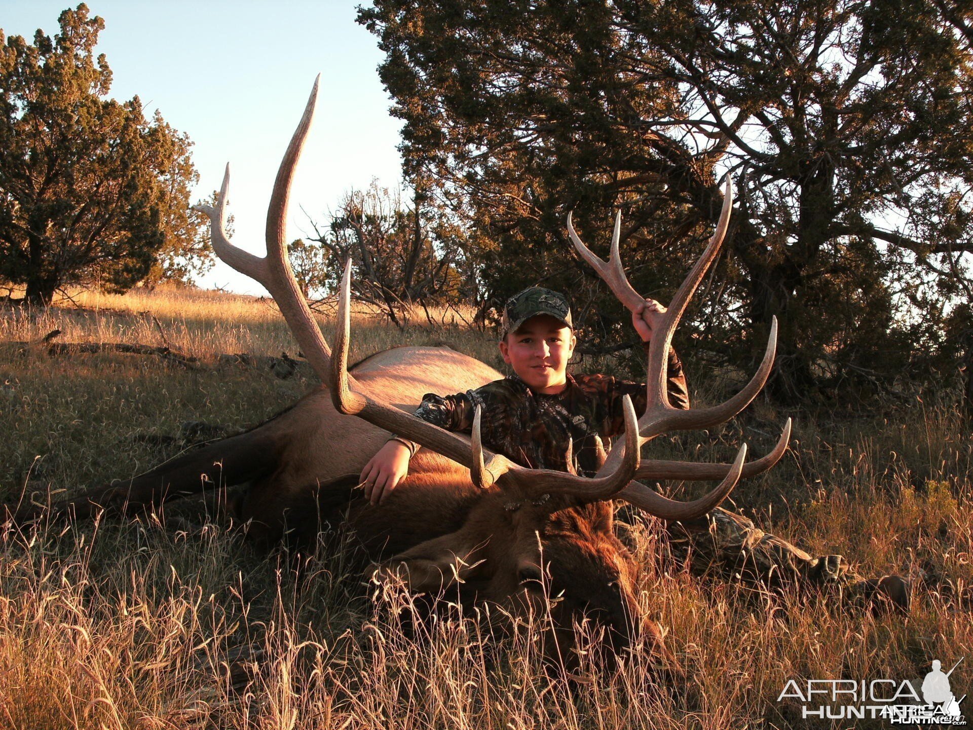 Hunting Elk New Mexico