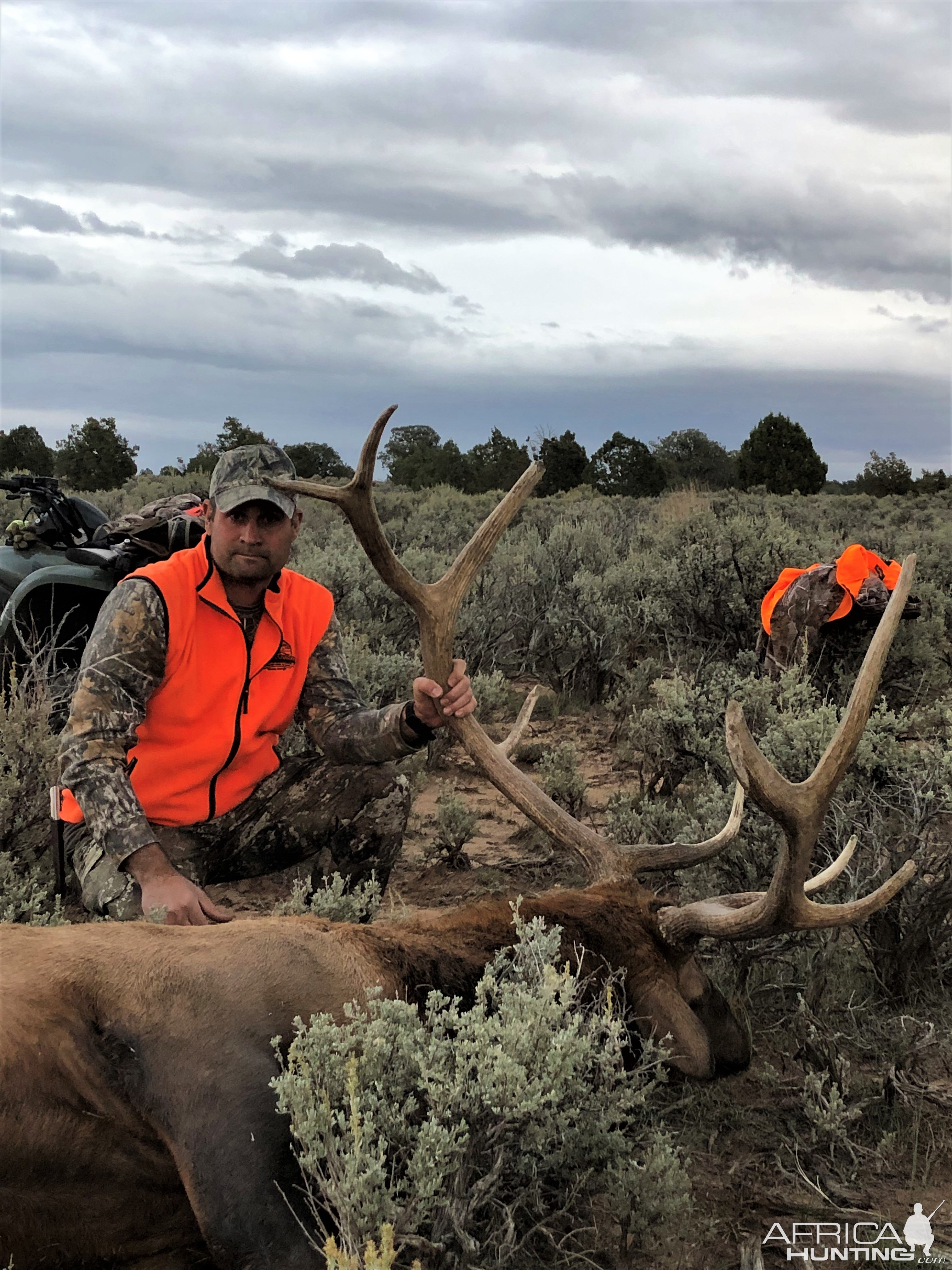 Hunting Elk Utah